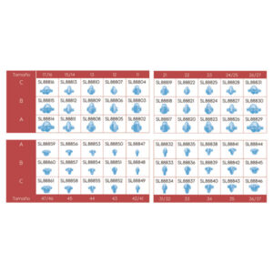 12C PREFORMA INDIVIDUAL 25uds — Innvori Dental