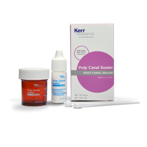 PULP CANAL SEALER 10,5gr.+4ml. — Innvori Dental