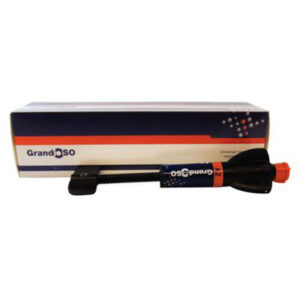 GRANDIO SO JERINGA 4 gr. B3 2621 — Innvori Dental