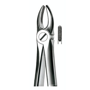 E1 FORCEPS N.1 INCIS-CANIN.SUP