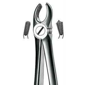 17 FORCEPS MOLAR SUP. DERECHO