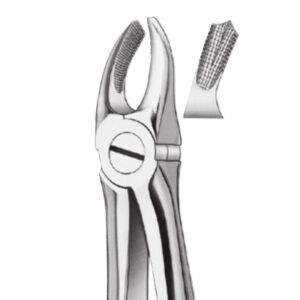 17K FORCEPS NIÑOS MOLAR DCHO.