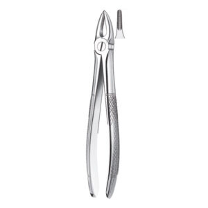 29 FORCEPS