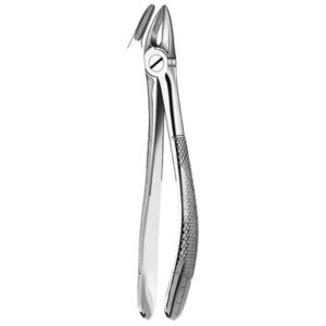 30 FORCEPS RAICES SUPERIORES