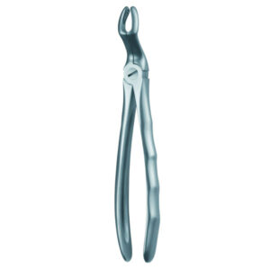 67A FORCEPS CORDAL SUPERIOR