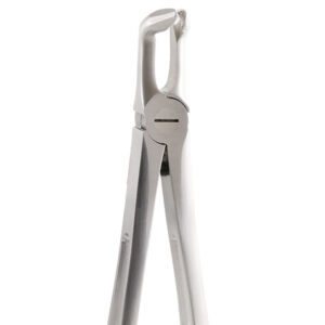 GX79 FORCEPS GATOREX CORDALES INFERIORES