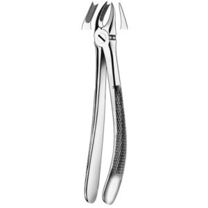 89 FORCEPS MOLAR SUPERIOR DCHA