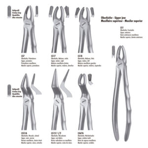 LS151 1/2 FORCEPS RAICES SUP. LIQUID STEEL