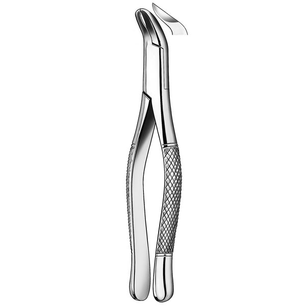 409/5 FORCEPS PHYSICK CORD.INF