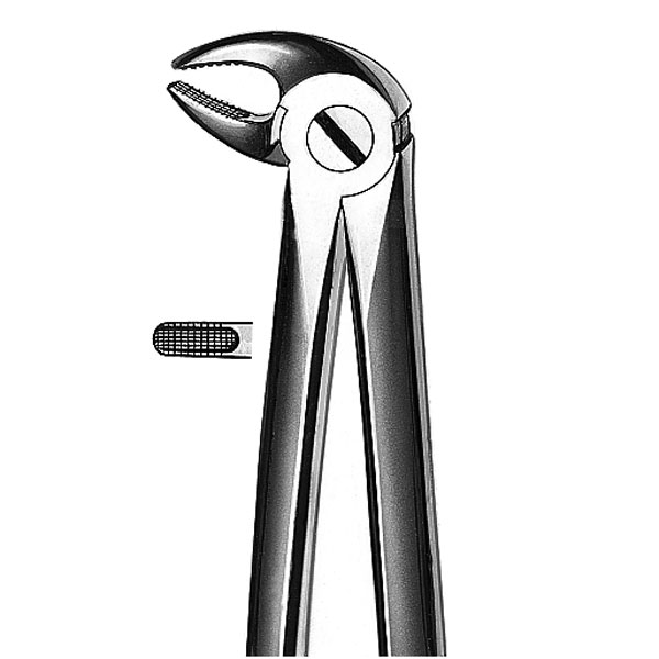 M2013 FORCEPS PREMOLARES INF.