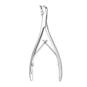 1828/14,5cm. GUBIA M-FRIEDMAN