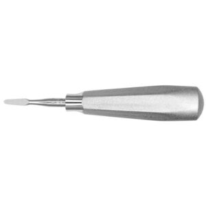 E11 ELEVADOR RAICES STOUT