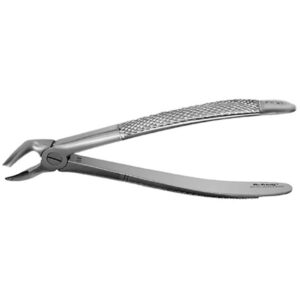 FX31E FORCEPS RAICES INFERIORES