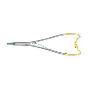 NHLBPSE P-AGUJAS LICHTENBERG