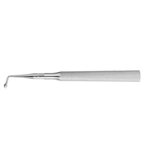 BER7 SINDESMOTOMO BERNARD