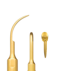 S1 PUNTA PIEZOQUATTRO MECTRON — INCOTRADING — Innvori Dental