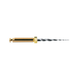 LIMAS PROTAPER GOLD SX 19mm. 6u. (A0410-X) — Innvori Dental