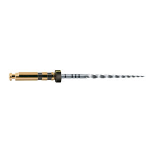 LIMAS PROTAPER GOLD F4 31mm. 6u. (A0411-4) — Innvori Dental