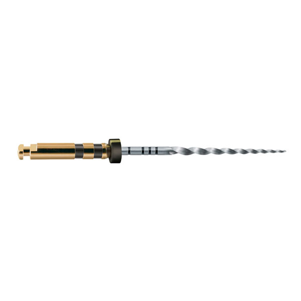 LIMAS PROTAPER GOLD F4 31mm. 6u. (A0411-4) — Innvori Dental