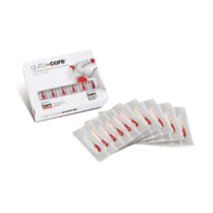 GUTTACORE PINK Nº 20 6und. — Innvori Dental