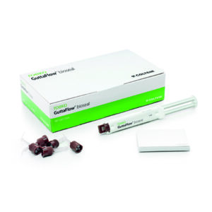 GUTTAFLOW BIOSEAL STANDARD SET 5ml. +ACC. — Innvori Dental