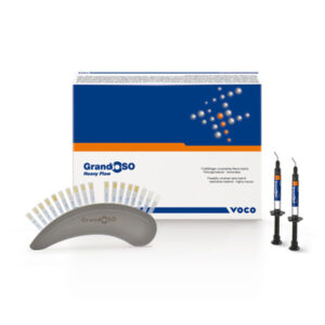 GRANDIO SO HEAVY FLOW JER. 2X2gr.B1 2690 — Innvori Dental