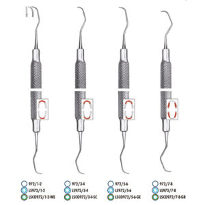 LSP972/5-6 GRACEY LS-PASSION — CARL MARTIN — Innvori Dental