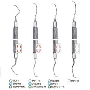 LSP972/11-12 GRACEY LS-PASSION — CARL MARTIN — Innvori Dental