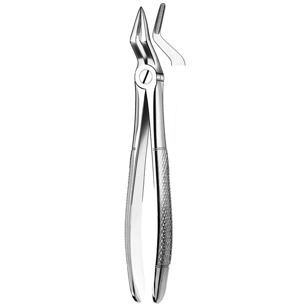 51 FORCEPS RAICES SUPERIORES
